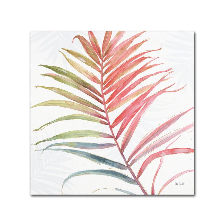 Lisa Audit Tropical Blush VI Canvas Art 24 x 24 Image 1