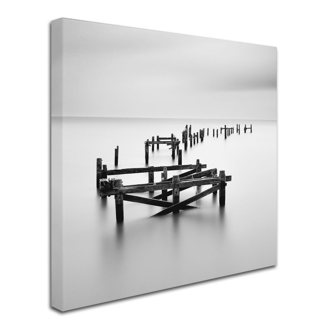 Rob Cherry All That Remains Canvas Art 24 x 24 Image 2