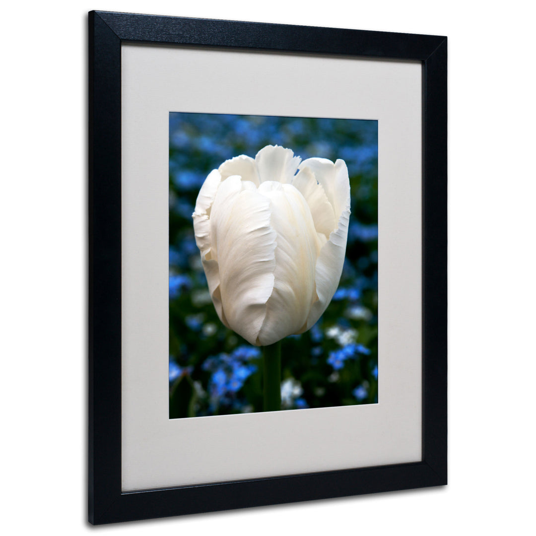 Kurt Shaffer Parrot Tulip Black Wooden Framed Art 18 x 22 Inches Image 1