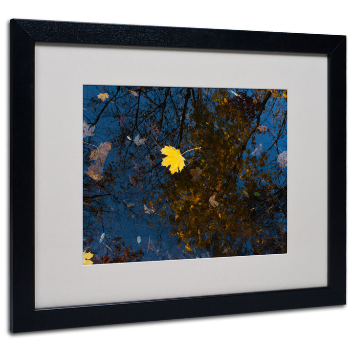 Kurt Shaffer Maple Water Black Wooden Framed Art 18 x 22 Inches Image 1