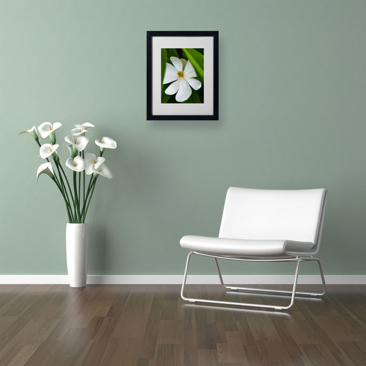Kurt Shaffer Magnolia Black Wooden Framed Art 18 x 22 Inches Image 2