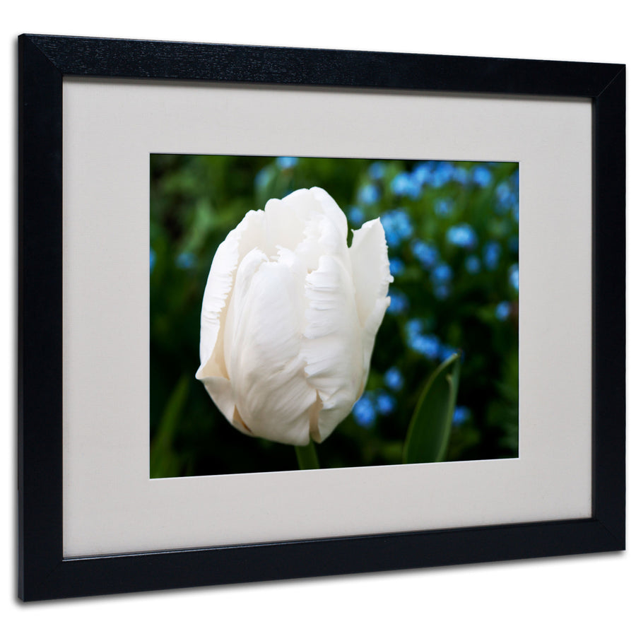 Kurt Shaffer White Parrot Tulip II Black Wooden Framed Art 18 x 22 Inches Image 1