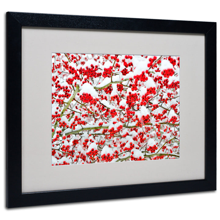 Kurt Shaffer Winter Berries in the Snow Black Wooden Framed Art 18 x 22 Inches Image 1