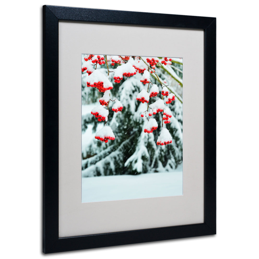 Kurt Shaffer Winter Berries and Pine Black Wooden Framed Art 18 x 22 Inches Image 1