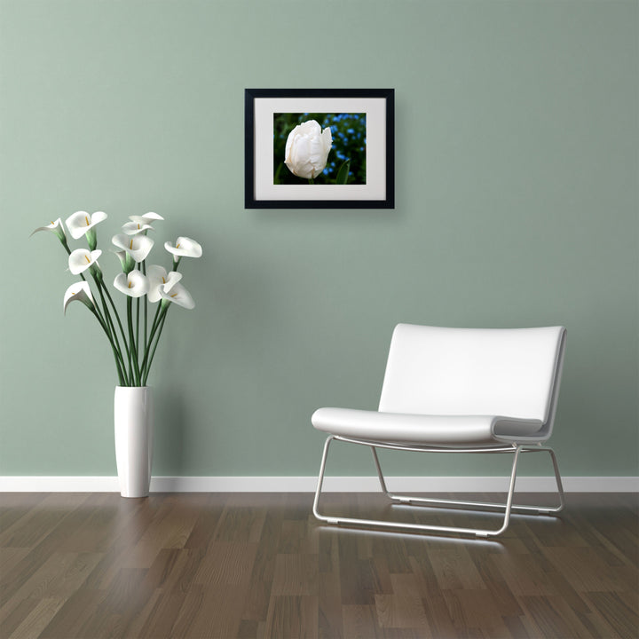 Kurt Shaffer White Parrot Tulip II Black Wooden Framed Art 18 x 22 Inches Image 2