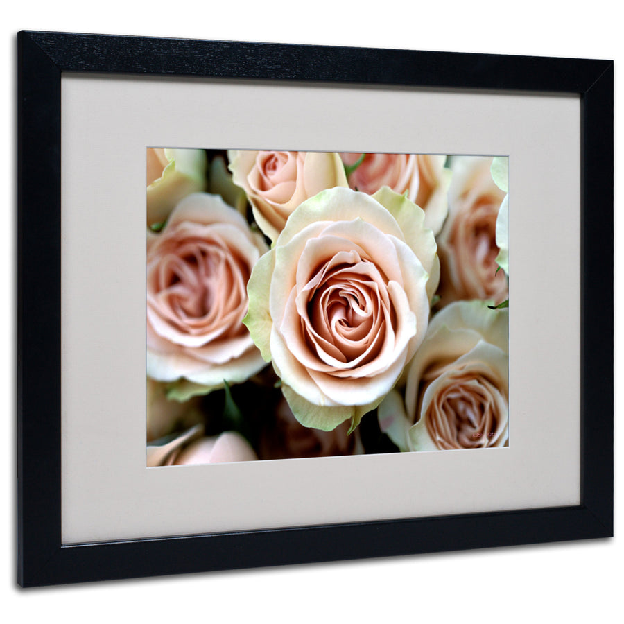 Kathy Yates Pale Pink Roses Black Wooden Framed Art 18 x 22 Inches Image 1
