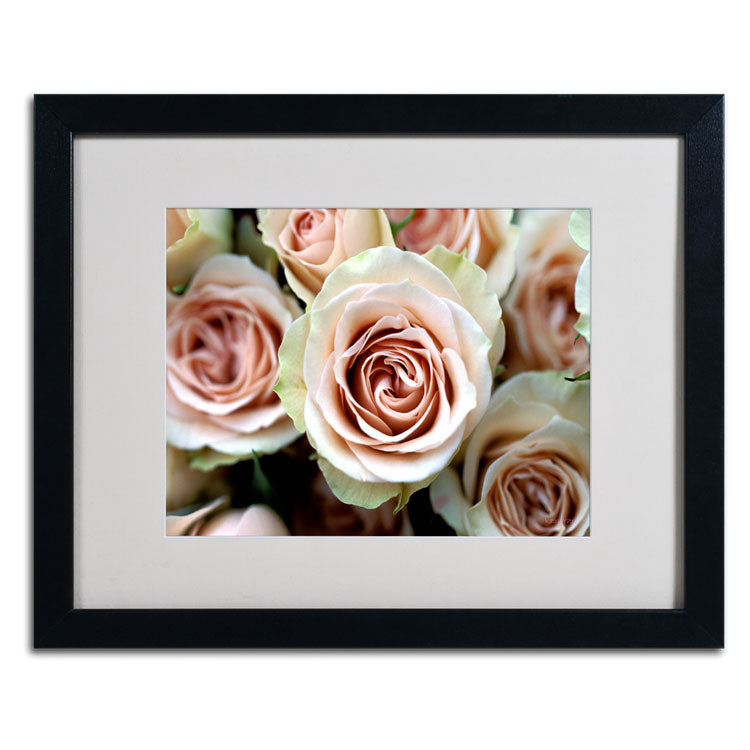 Kathy Yates Pale Pink Roses Black Wooden Framed Art 18 x 22 Inches Image 2