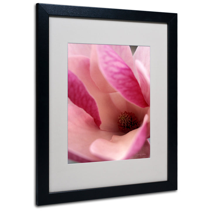 Kathy Yates Tulip Magnolia Blossom Black Wooden Framed Art 18 x 22 Inches Image 1