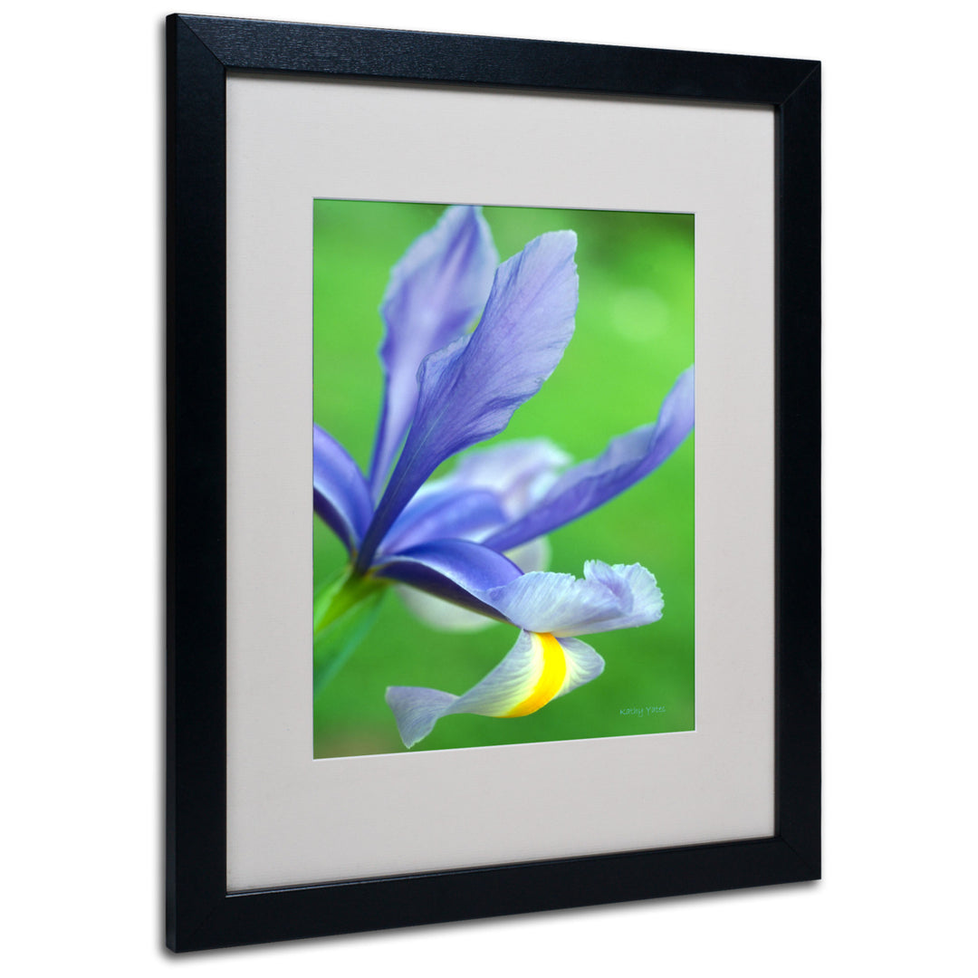 Kathy Yates Spring Iris Black Wooden Framed Art 18 x 22 Inches Image 1