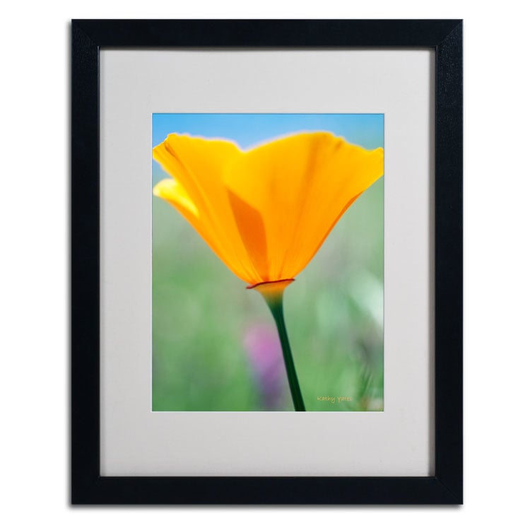 Kathy Yates California Poppy Closeup Black Wooden Framed Art 18 x 22 Inches Image 2