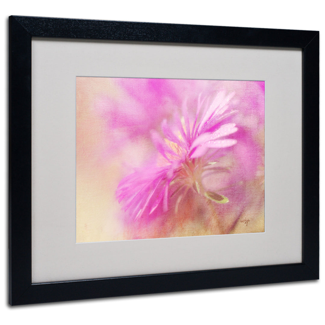 Lois Bryan Dewy Pink Aster Black Wooden Framed Art 18 x 22 Inches Image 1