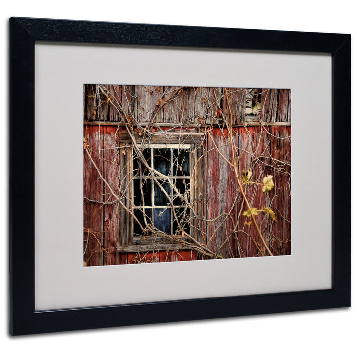 Lois Bryan Old Barn Window Black Wooden Framed Art 18 x 22 Inches Image 1