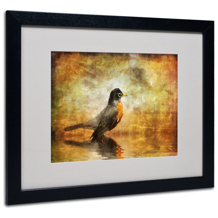 Lois Bryan The Robin Black Wooden Framed Art 18 x 22 Inches Image 1