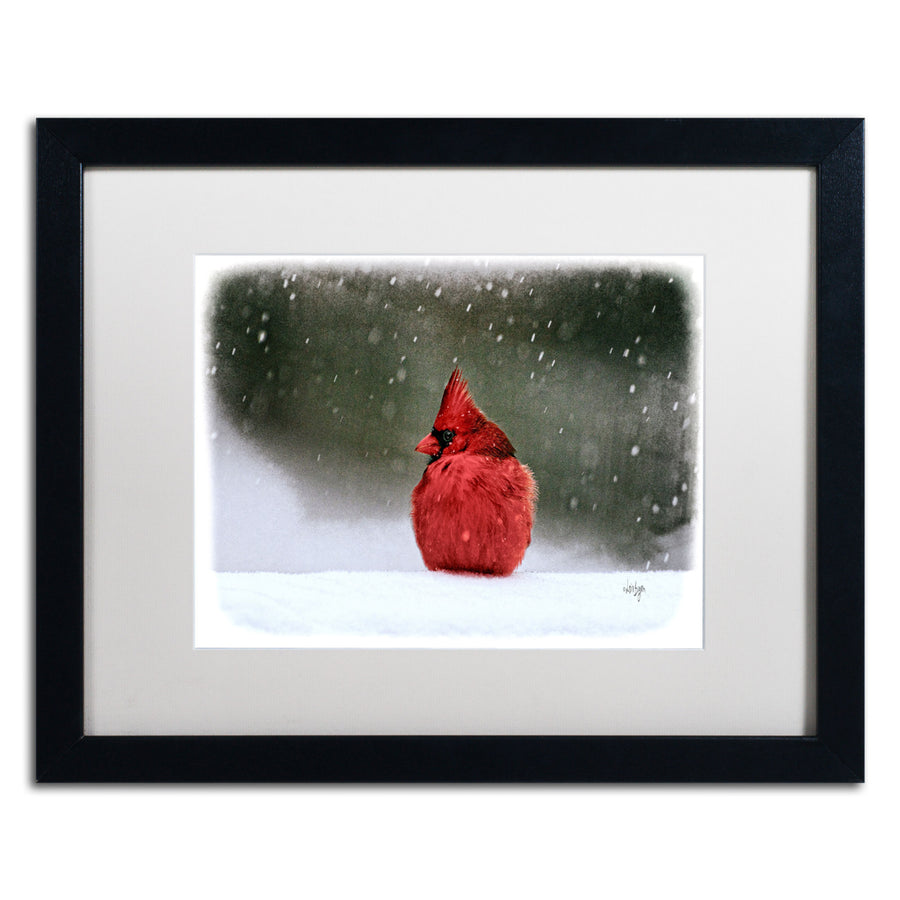 Lois Bryan A Ruby in the Snow Black Wooden Framed Art 18 x 22 Inches Image 1