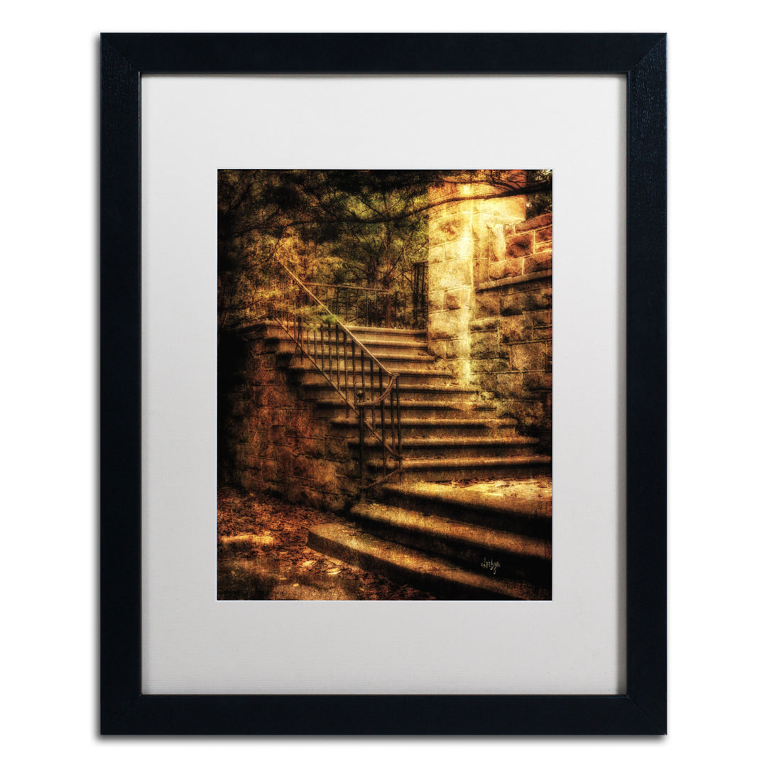 Lois Bryan Abandoned Stone Staircase Black Wooden Framed Art 18 x 22 Inches Image 1