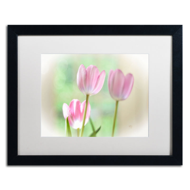 Lois Bryan Three Pink Tulips Black Wooden Framed Art 18 x 22 Inches Image 1
