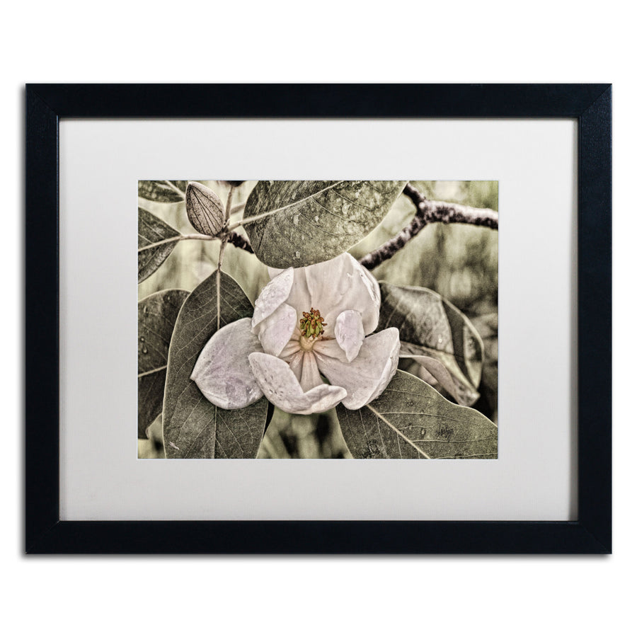 Lois Bryan White Magnolia Black Wooden Framed Art 18 x 22 Inches Image 1