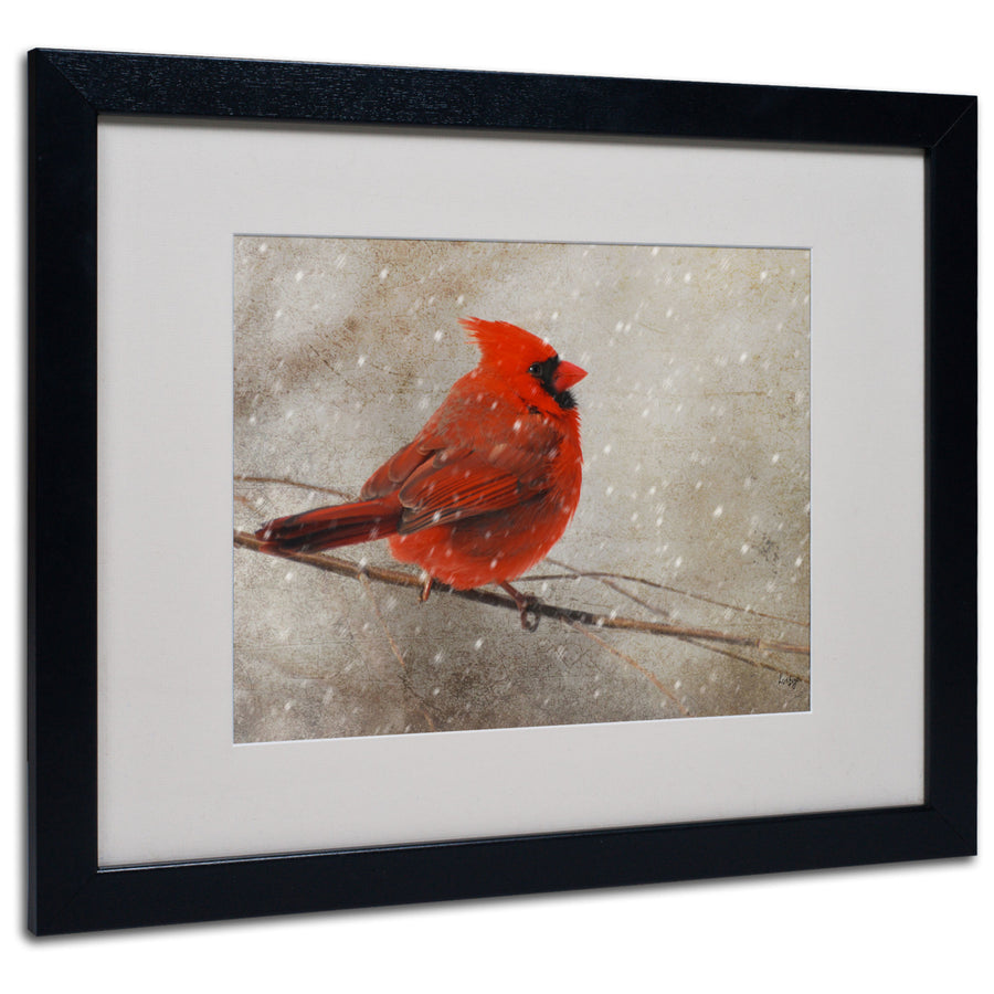 Lois Bryan Cardinal In Winter Black Wooden Framed Art 18 x 22 Inches Image 1