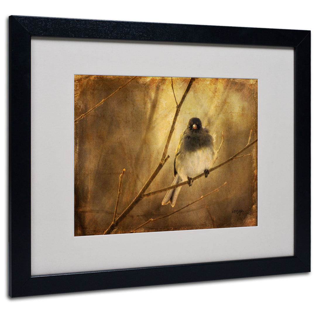Lois Bryan Backlit Birdie Being Buffeted Black Wooden Framed Art 18 x 22 Inches Image 1