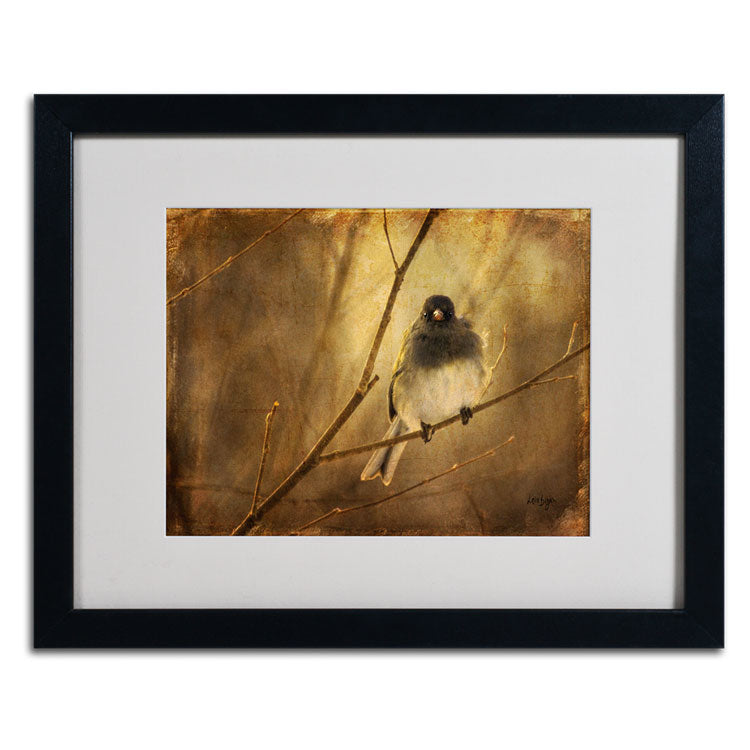 Lois Bryan Backlit Birdie Being Buffeted Black Wooden Framed Art 18 x 22 Inches Image 2
