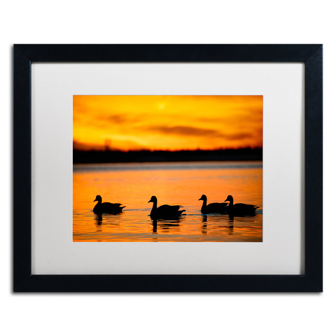 David Ayash Jamaica Bay Sunset - NYC II Black Wooden Framed Art 18 x 22 Inches Image 1