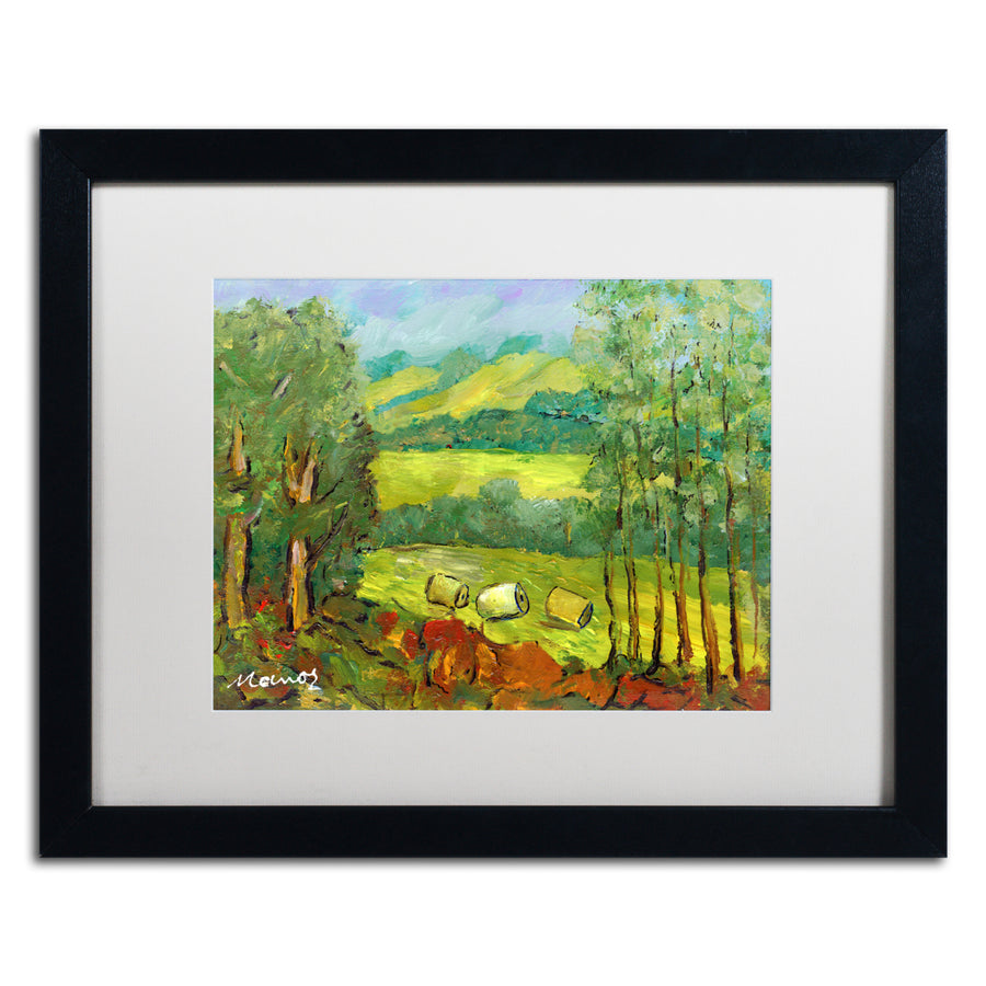 Manor Shadian Balds in the Field Black Wooden Framed Art 18 x 22 Inches Image 1