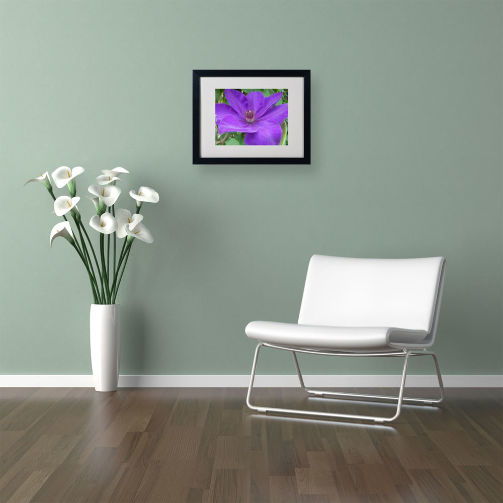 Monica Fleet Purple Flower Black Wooden Framed Art 18 x 22 Inches Image 2