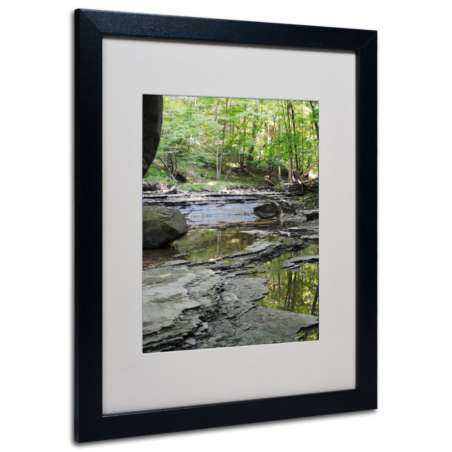 Monica Fleet Crystal Rock Black Wooden Framed Art 18 x 22 Inches Image 1