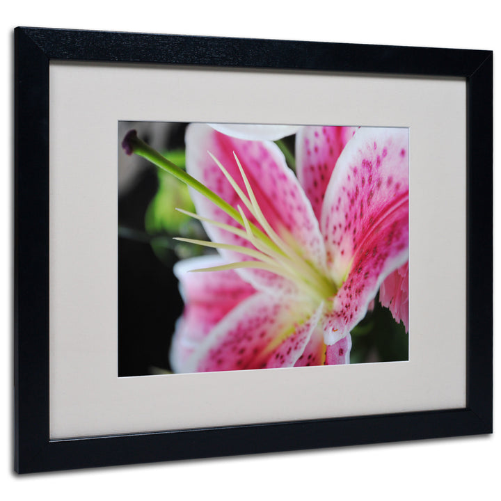 Monica Fleet Pink Flower Black Wooden Framed Art 18 x 22 Inches Image 1