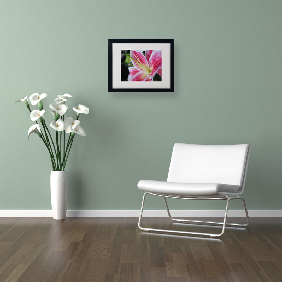 Monica Fleet Pink Flower Black Wooden Framed Art 18 x 22 Inches Image 2