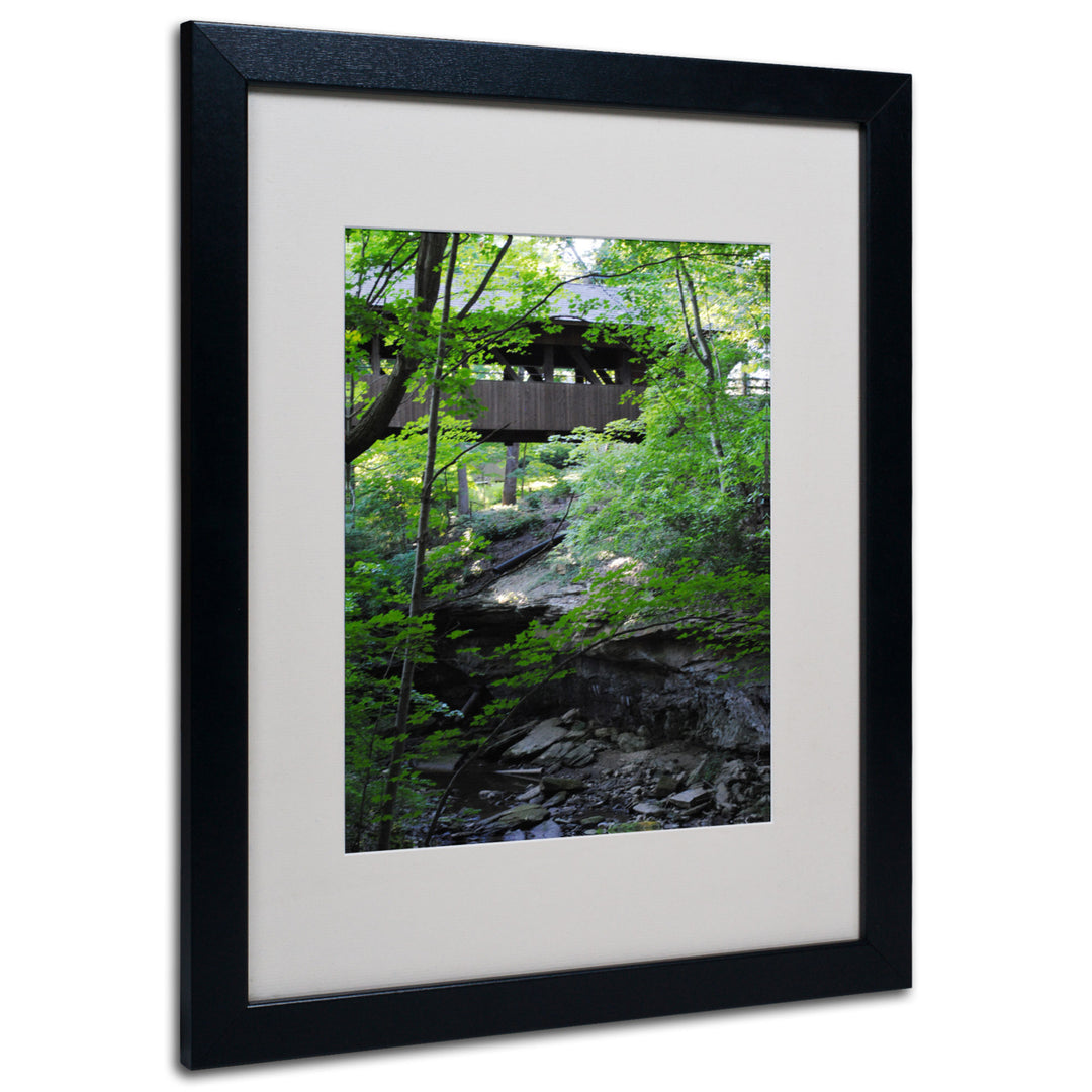 Monica Fleet Latent Bridge Black Wooden Framed Art 18 x 22 Inches Image 1