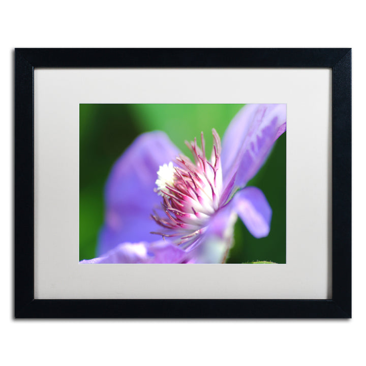 Monica Mize Clarity Black Wooden Framed Art 18 x 22 Inches Image 1