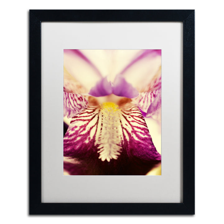 PIPA Fine Art Antiqued Iris Black Wooden Framed Art 18 x 22 Inches Image 1