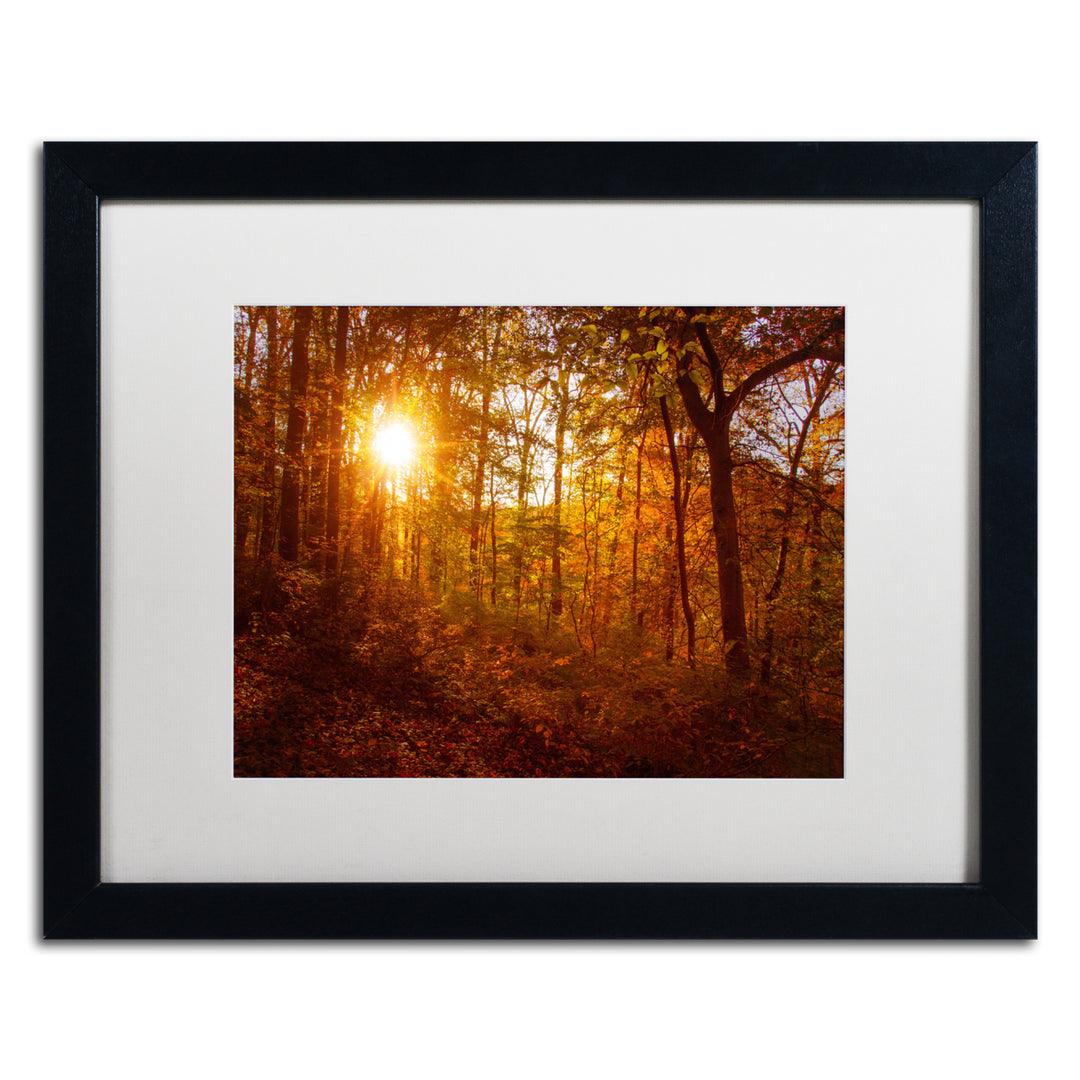 PIPA Fine Art Autumn Sunset Black Wooden Framed Art 18 x 22 Inches Image 1