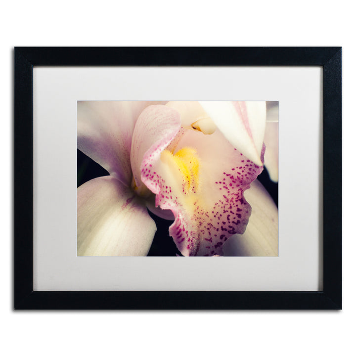 PIPA Fine Art Close-Up of Orchid Black Wooden Framed Art 18 x 22 Inches Image 1
