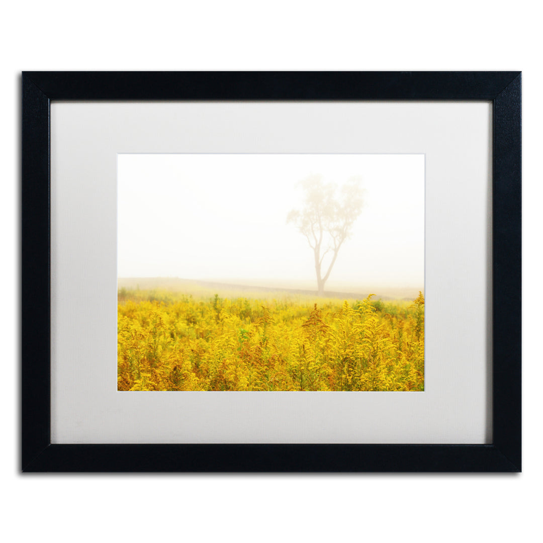 PIPA Fine Art Dreams of Goldenrod and Fog Black Wooden Framed Art 18 x 22 Inches Image 1