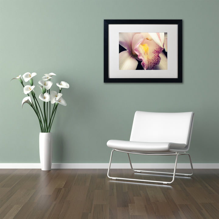 PIPA Fine Art Close-Up of Orchid Black Wooden Framed Art 18 x 22 Inches Image 2