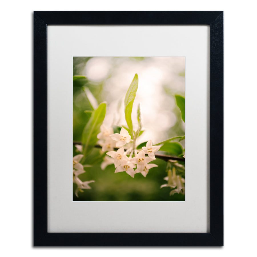 PIPA Fine Art Floral Tranquility Black Wooden Framed Art 18 x 22 Inches Image 1