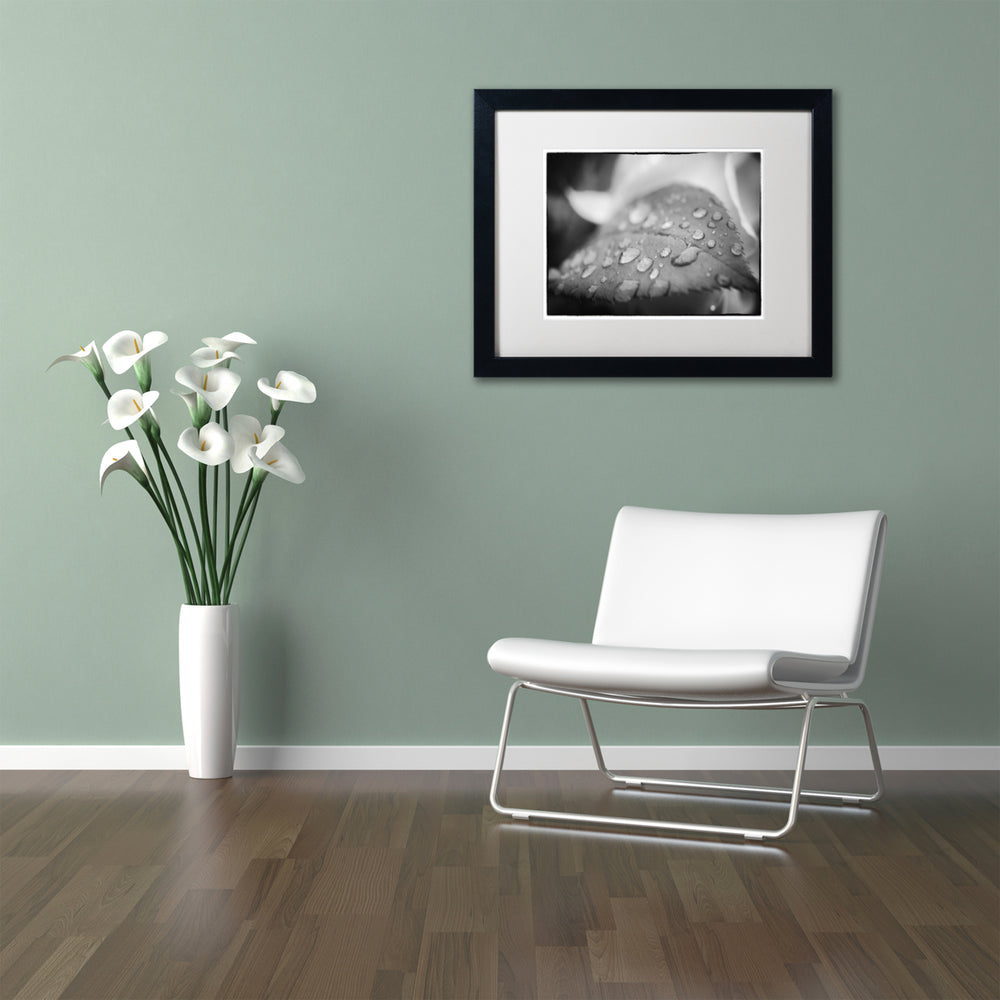 PIPA Fine Art Dew on Leaf of Rose Plant Black Wooden Framed Art 18 x 22 Inches Image 2