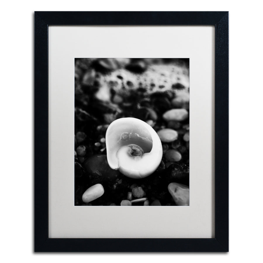 PIPA Fine Art Glowing Beach Shell Black Wooden Framed Art 18 x 22 Inches Image 1