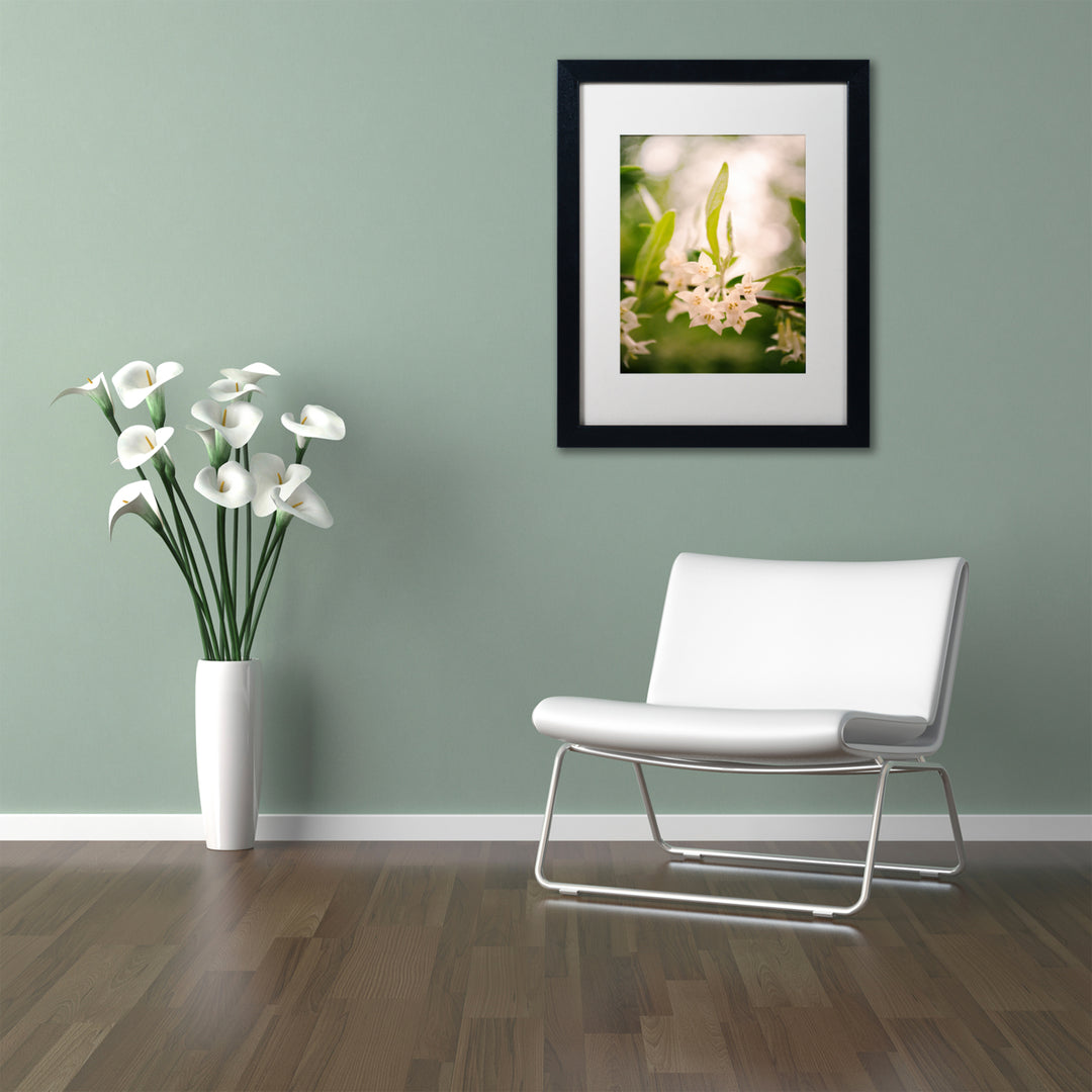 PIPA Fine Art Floral Tranquility Black Wooden Framed Art 18 x 22 Inches Image 2