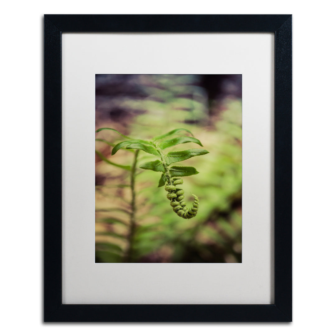 PIPA Fine Art Growth of the Forest Floor Black Wooden Framed Art 18 x 22 Inches Image 1