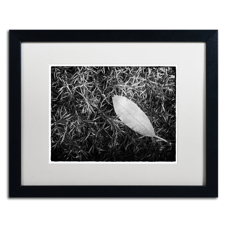 PIPA Fine Art Leaf in Phlox Black Wooden Framed Art 18 x 22 Inches Image 1