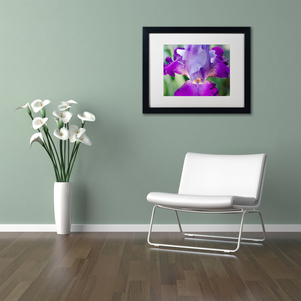 PIPA Fine Art Glowing Iris Black Wooden Framed Art 18 x 22 Inches Image 2