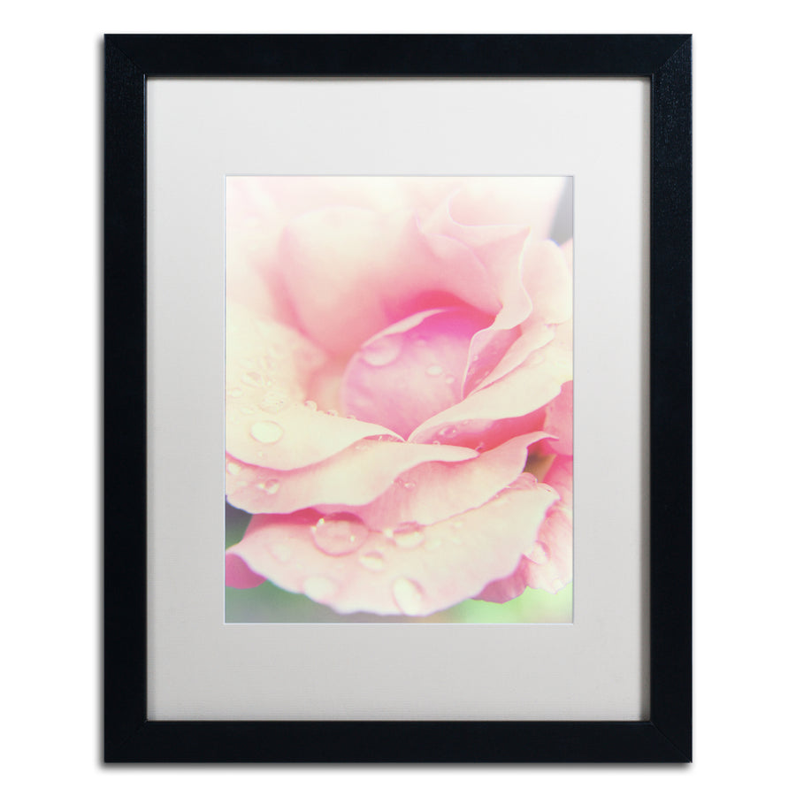 PIPA Fine Art Softened Rose Black Wooden Framed Art 18 x 22 Inches Image 1