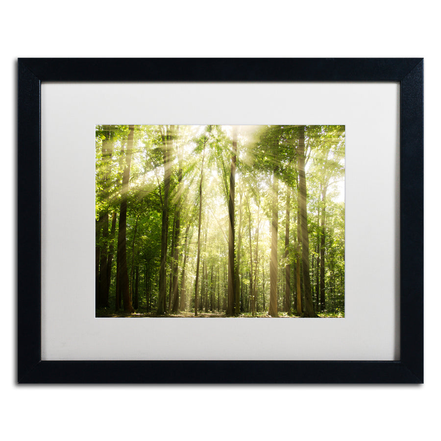 PIPA Fine Art Sunrays Through Treetops Black Wooden Framed Art 18 x 22 Inches Image 1