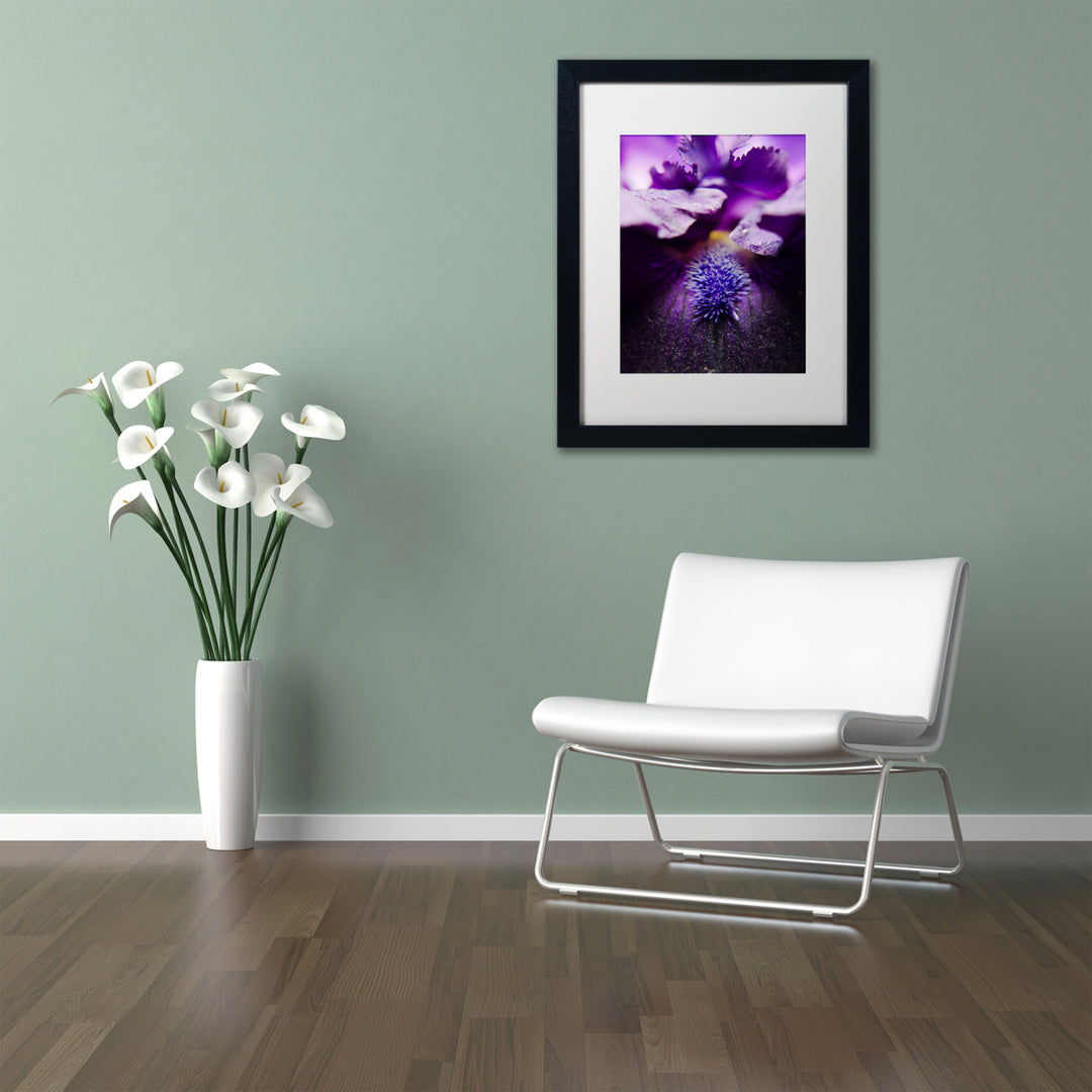 PIPA Fine Art Stigma of Iris Black Wooden Framed Art 18 x 22 Inches Image 2