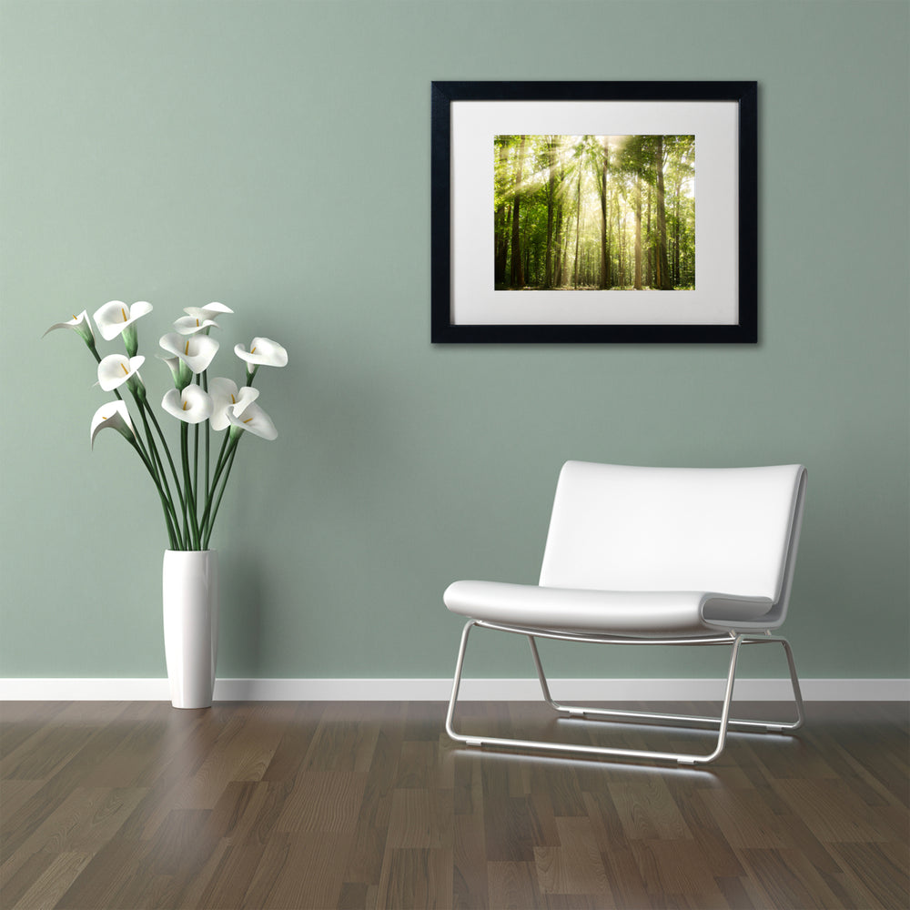PIPA Fine Art Sunrays Through Treetops Black Wooden Framed Art 18 x 22 Inches Image 2