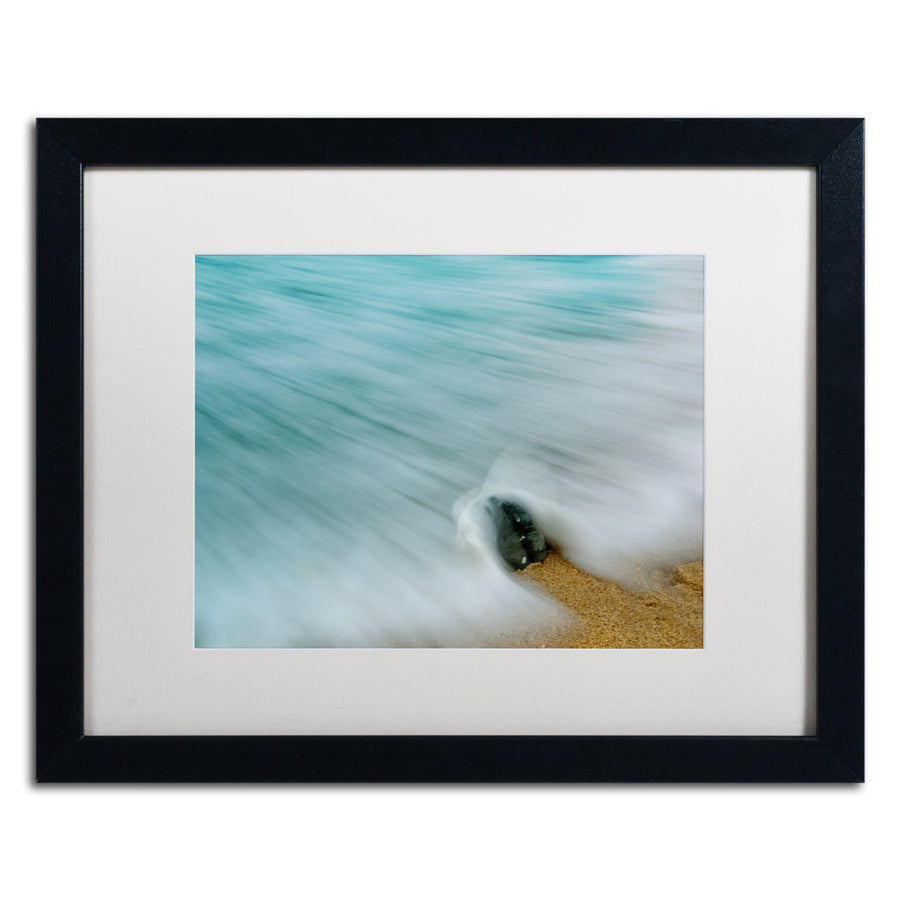 PIPA Fine Art Whelk Seashell and Misty Wave Black Wooden Framed Art 18 x 22 Inches Image 1