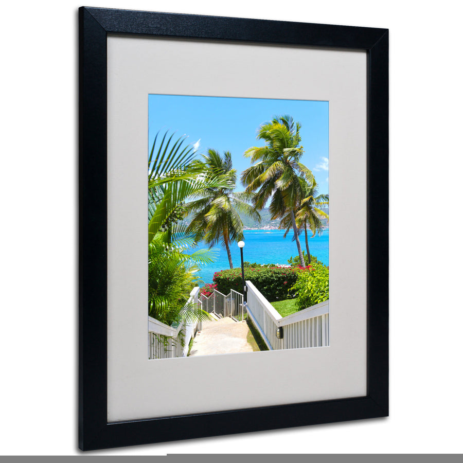 CATeyes Virgin Islands 3 Black Wooden Framed Art 18 x 22 Inches Image 1